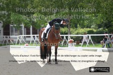 ref. photo 3231194