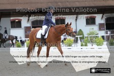 ref. photo 3231219