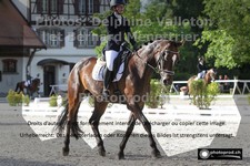 ref. photo 3231294