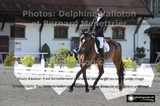 ref. photo 3231297