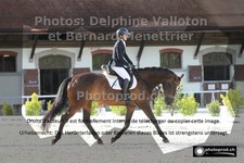 ref. photo 3231299
