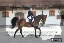 ref. photo 3231303