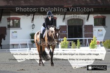ref. photo 3231310