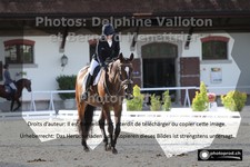 ref. photo 3231311