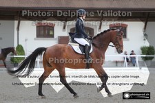 ref. photo 3231316