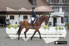 ref. photo 3231320