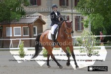 ref. photo 3231328