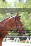 ref. photo 3231335