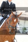 ref. photo 3231337