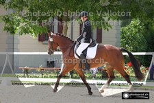 ref. photo 3231340