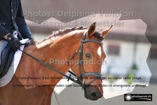 ref. photo 3231348