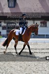 ref. photo 3231349