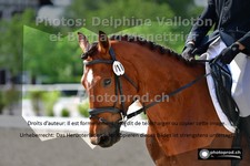 ref. photo 3231367