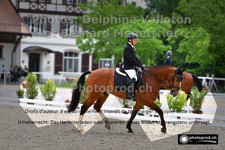 ref. photo 3231379