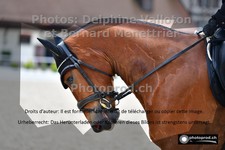 ref. photo 3231387