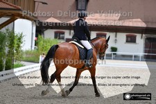 ref. photo 3231397