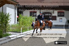 ref. photo 3231404