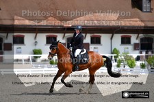 ref. photo 3231421