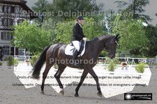 ref. photo 3231438
