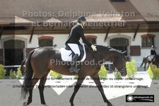 ref. photo 3231452