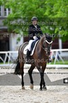ref. photo 3231462