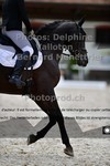 ref. photo 3231498