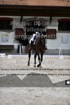 ref. photo 3231514