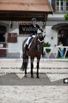 ref. photo 3231515