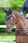 ref. photo 3231521