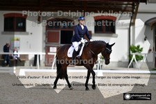 ref. photo 3231544