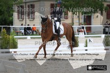 ref. photo 3231576