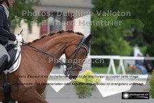 ref. photo 3231577