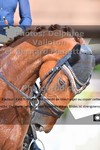 ref. photo 3231592