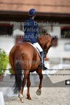 ref. photo 3231614