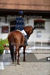 ref. photo 3231615