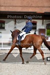 ref. photo 3231616