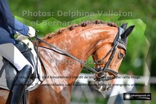 ref. photo 3231622