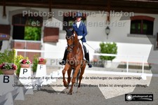 ref. photo 3231627