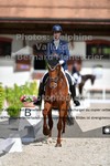 ref. photo 3231628