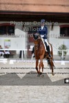 ref. photo 3231642
