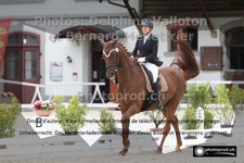 ref. photo 3231650