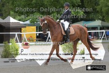 ref. photo 3231652