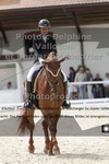 ref. photo 3231661