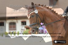 ref. photo 3231663