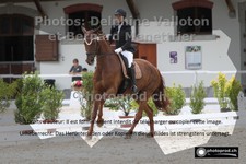 ref. photo 3231664