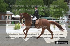 ref. photo 3231668