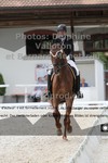 ref. photo 3231670