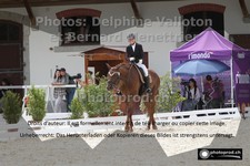 ref. photo 3231673