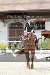 ref. photo 3231679