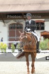 ref. photo 3231680